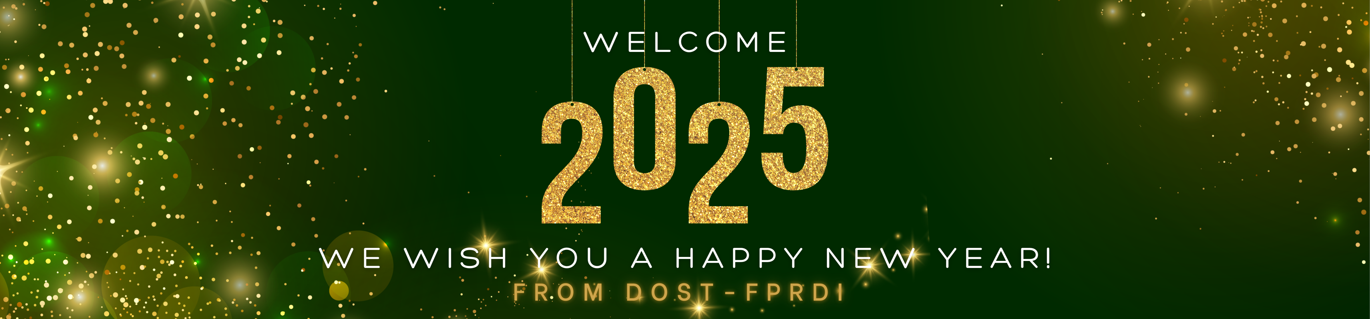 FRPDI_New_Year_2025.png