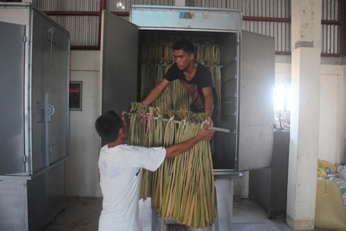 The FPRDI Water Hyacinth Dryer.