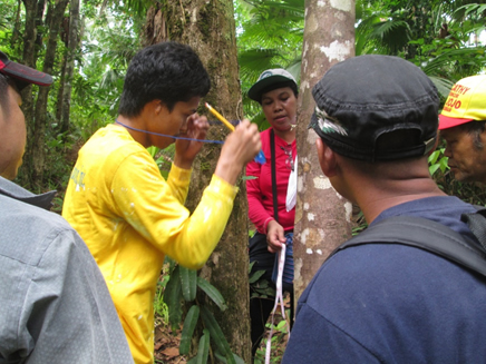 DOST-FPRDI’s Ms. Florena B. Samiano (center)  shows a group of farmers how to strip the bark of a cinnamon tree at Mt. Labo, Barangay Baay, Labo, Camarines Norte.