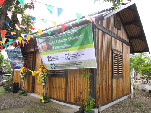 The DIY Bamboo Shelter.