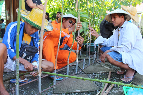 Rubber farmers in Zamboanga Sibugay learn the basics of rubber tree propagation.