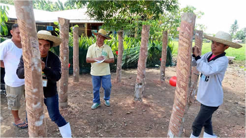 DOST-FPRDI develops competent rubber farmers, tappers and trainers.