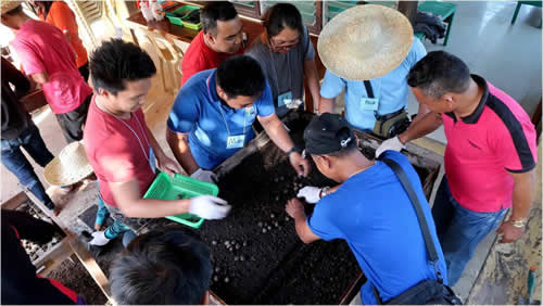 DOST-FPRDI develops competent rubber farmers, tappers and trainers.