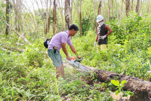 DOST-FPRDI trains Zamboanga Sibugay farmers on sawmilling.