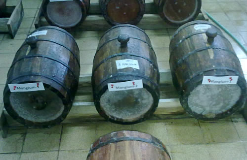 The experimental wine barrels made from mangium wood.